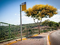 Араб пытался похитить 13-летнюю девочку с автобусной остановки в Од а-Шароне