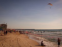 Возле пляжа в Ашдоде замечена акула: купание запрещено, поднят 