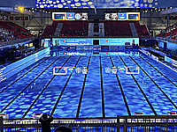 Паралимпийский чемпионат мира по плаванию. Израильтянин завоевал золотую медаль