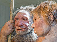 Череп, которому миллион лет, меняет взгляд на историю Homo Sapiens