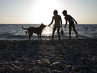 У детей, которые растут рядом с собаками, ниже риск развития детской астмы