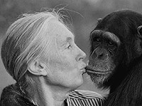 Умерла Джейн Гудолл, исследовательница приматов и защитница прав животных