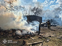 В Донецкой области погиб французский фотожурналист Антони Лалликан