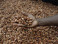 Шоколад подорожает: Гана, второй по величине производитель какао в мире, повышает закупочную цену