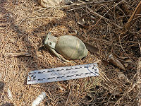 Эхо 7/10: в кибуце Беэри нашли неразорвавшуюся гранату