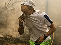 Дым от лесных пожаров связан с ухудшением качества семенной жидкости