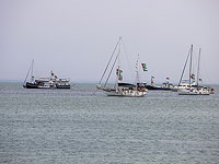 Католик, участник 