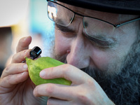 Раввин Натан Слифкин: существовал ли этрог во время дарования Торы?