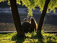 ИИ научился предсказывать романтическое влечение по сигналам мозга