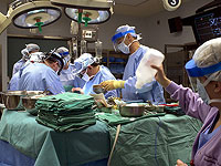 Мужчина прожил шесть месяцев после пересадки печени свиньи