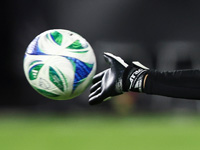 Отборочный матч чемпионата мира. Гол привел к расследованию против вратаря сборной Ливии