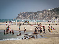 Около Герцлии в море замечена акула