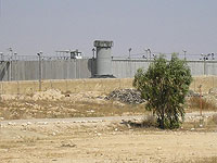 Террорист, напавший на сотрудницу в тюрьме 