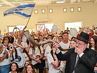 Первые семь освобожденных заложников уже в Израиле