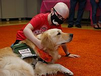 Израильский стартап с помощью собак и машинного обучения выявляет рак на ранней стадии