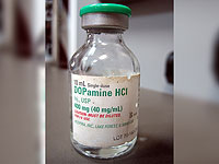 Дофамин играет ключевую роль в забывании