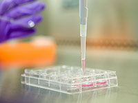 Ученые обнаружили стволовые клетки, способные восстанавливать зубы и кости