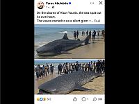 Распространяются фейковые фото в поддержку версии: 