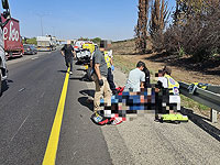 ДТП на шоссе 6: погиб пешеход