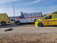 Трактор столкнулся с грузовиком на Голанах: один человек погиб