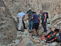 В Эйлатских скалах спасли нубийского горного козла, сломавшего ногу