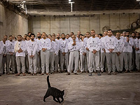 Мучения террористов в тюрьме 