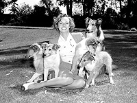 Умерла актриса Джун Локхарт, сыгравшая маму в телесериале 