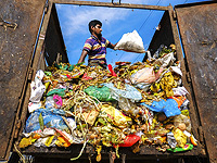 Обнаружена новая бактерия, которая превращает пищевые отходы в энергию