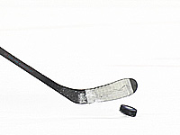 Хоккейная лига Восточного побережья. Голы хоккеистов-евреев 