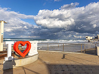 Мэрия Хайфы намерена в субботу утром открыть пляжи, после их посещения китовой акулой