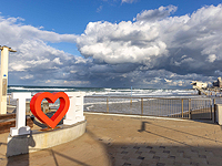 После посещения китовой акулы мэрия Хайфы намерена в субботу утром открыть пляжи