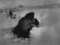 ЦАХАЛ: на юге Ливана был ликвидирован террорист 