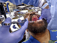 Ученые разрабатывают наноботов для лечения зубной боли Ученые разрабатывают наноботов для лечения зубной боли