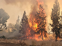 Возгорание растительности произошло возле мошава Тиморим