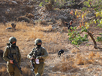 В Самарии дрон ЦАХАЛа врезался в сборщицу оливок и травмировал ее