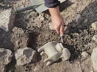 В окрестностях Мегиддо найдена одна из древнейших в Израиле виноделен, ей 5000 лет