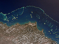 Большой Барьерный риф ожидает 