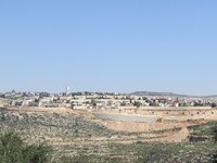 В поселении Наале снесли синагогу ХАБАДа