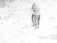 ЦАХАЛ: около Аль-Джудейры были ликвидированы двое террористов, бросавших ЦАХАЛ: около Аль-Джудейры были ликвидированы двое террористов, бросавших