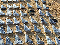 Предотвращена попытка контрабанды оружия через западную границу