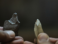 Первобытные люди передавали технологии изготовления орудий труда на протяжении 300 тысяч лет