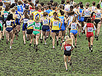 Балканский чемпионат по кроссу. Израильтянки завоевали бронзовую медаль