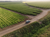 Может ли Израиль прокормить себя, опираясь только на собственные ресурсы. Новая экономическая модель