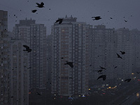 Блэкаут в Киеве и Харькове в результате российских атак на подстанции, питающие АЭС