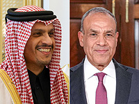 Главы МИД Египта и Катара призвали к объединению палестинских территорий