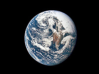 Человечество все быстрее захватывает Землю, а дикая природа вынуждена отступать