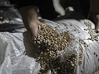 В Сирии перехвачено 11 миллионов таблеток каптагона, наркотики прибыли из Ливана В Сирии перехвачено 11 миллионов таблеток каптагона, наркотики прибыли из Ливана