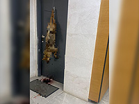 Любовный треугольник: житель центра Израиля повесил мертвого шакала на дверь соперника Любовный треугольник: житель центра Израиля повесил мертвого шакала на дверь соперника