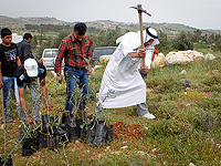 Минэкологии Израиля выделит 15 млн шекелей на озеленение в арабском секторе Минэкологии Израиля выделит 15 млн шекелей на озеленение в арабском секторе