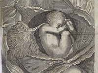 Голландский стартап разрабатывает искусственную матку для спасения недоношенных детей